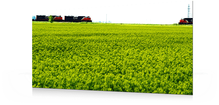 Fertilizer